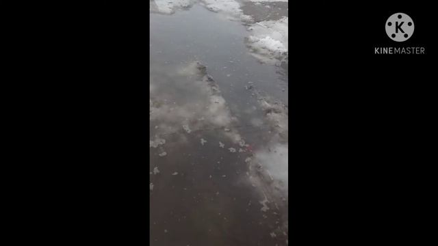 Just a little stroll outside to share the snow ❄️❄️❄️❄️ смотреть онлайн
