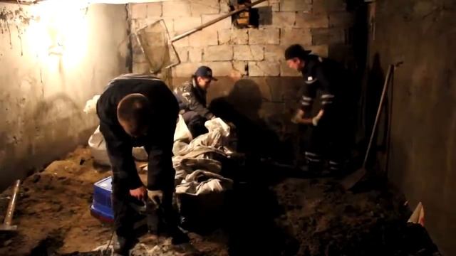 тост за 2014 смотреть онлайн