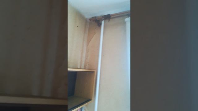 Продаю 1-ком. квартиру в г. Чехов, ул. Дружбы д. 6/2, 9/10 пан смотреть онлайн