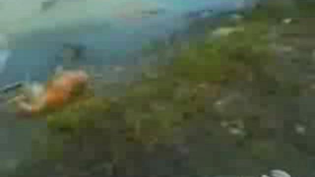 Классная нарезка с животными смотреть онлайн