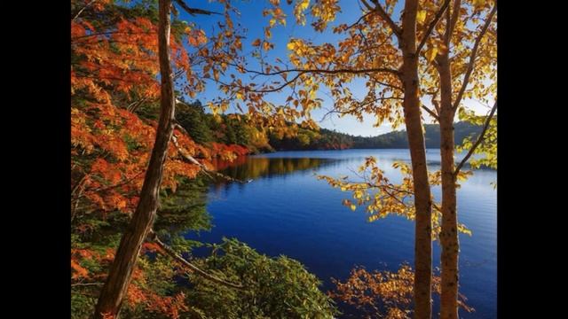Осенние листья. Ричард Клайдерман Autumn leaves. Richard Clayderman смотреть онлайн