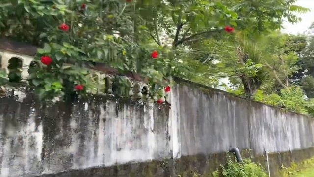 Homagama walk /// Прогулка по Хомагамочке смотреть онлайн