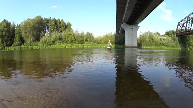 Хопер Головли под мостом 2 смотреть онлайн
