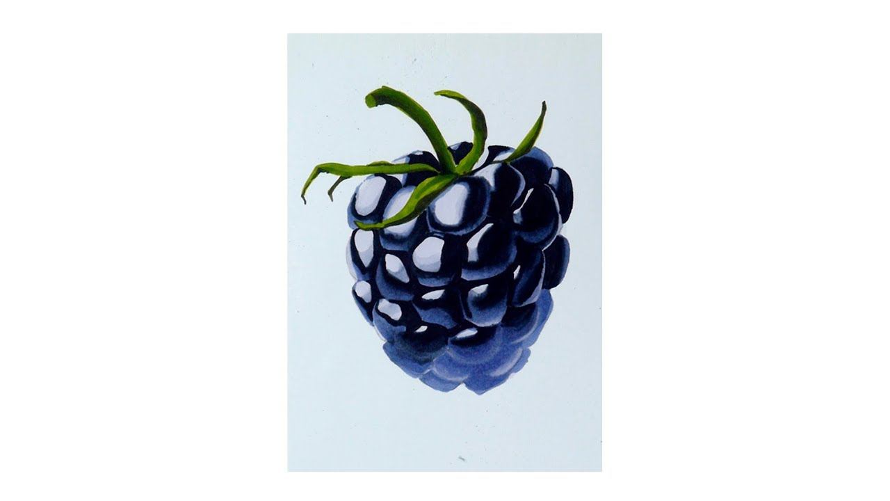 Экспресс-урок по скетчингу маркерами «Ежевика» | Как нарисовать ягоду ежевику поэтапно смотреть онлайн