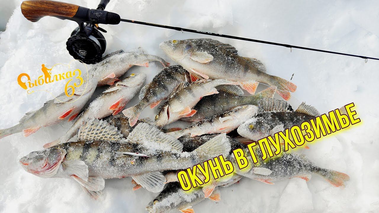 НА ЧТО КЛЮЁТ ОКУНЬ В ГЛУХОЗИМЬЕ? РАБОЧИЙ БАЛАНСИР И НЕ ХИТРАЯ ПРОВОДКА ДЛЯ ОКУНЯ!!! смотреть онлайн
