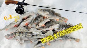 НА ЧТО КЛЮЁТ ОКУНЬ В ГЛУХОЗИМЬЕ? РАБОЧИЙ БАЛАНСИР И НЕ ХИТРАЯ ПРОВОДКА ДЛЯ ОКУНЯ!!!