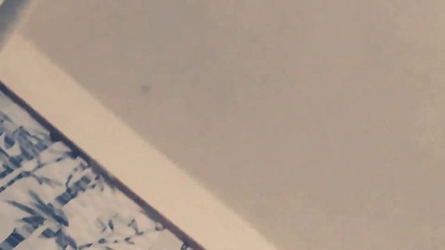 У меня дома завелся паук над кроватью смотреть онлайн