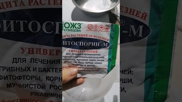 Как посадить землянику на рассаду. Или для выращивания дома. Посадка земляники для новичков. смотреть онлайн