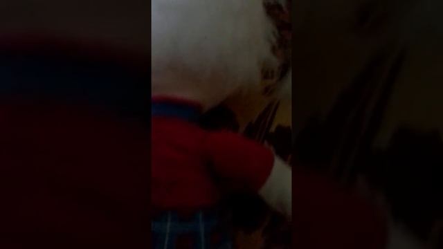 Моя новая игрушка Роза ☺☺☺??? . смотреть онлайн