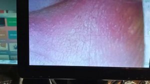 Микроскоп  DM9  HD. Краткий обзор в домашней лаборатории.