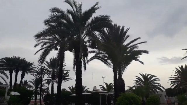 EL Mouradi Port el Kantaoui смотреть онлайн