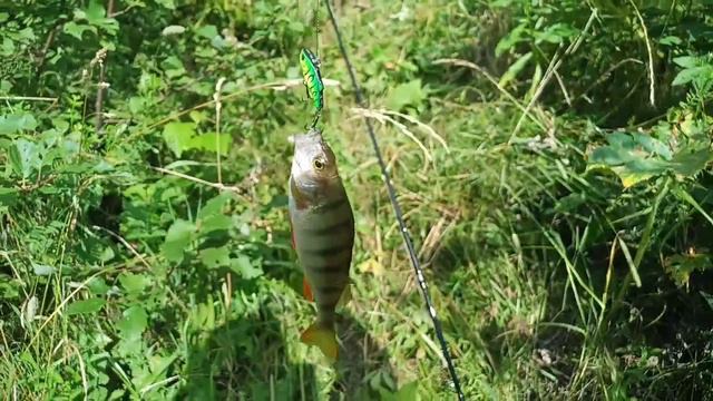 Река Тиг. Свердловская область #рыбалканаурале #рыбалка смотреть онлайн