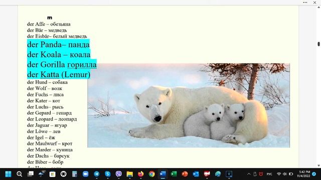 Genus der Wörter leicht. Endung - a #der #die #das смотреть онлайн