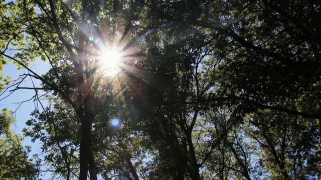 Утренняя молитва на 12 декабря смотреть онлайн