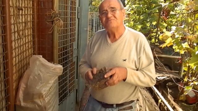 В гостях у Евгения Фёдоровича UR0QE. смотреть онлайн