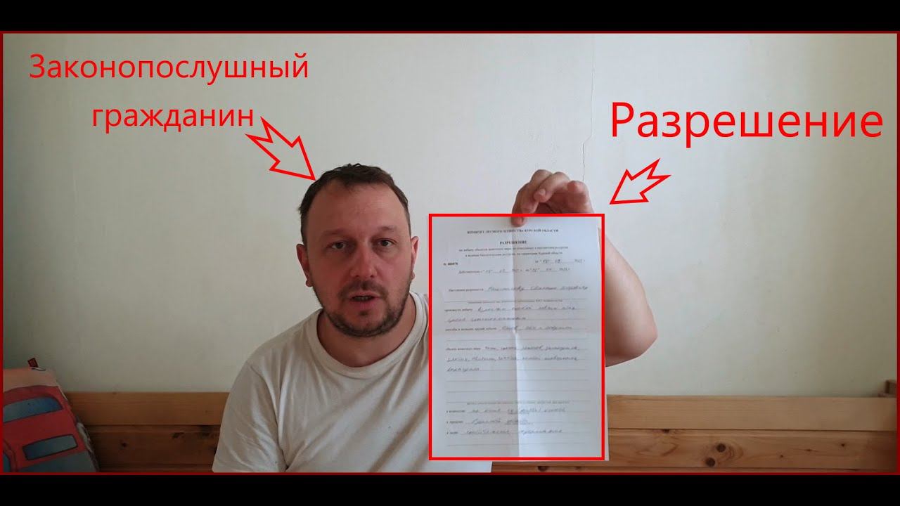 Разрешение на отлов певчих птиц. Ответы на основные вопросы. смотреть онлайн