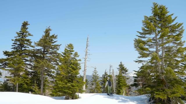 【長野移住】遂に志賀草津高原ルートが開通したので行ってみた!!｜雪の回廊｜渋峠｜日本国道最高地点｜ドライブ｜田舎暮らし｜長野県｜4K смотреть онлайн