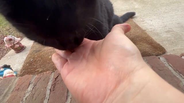 Biting the hand that feeds him смотреть онлайн