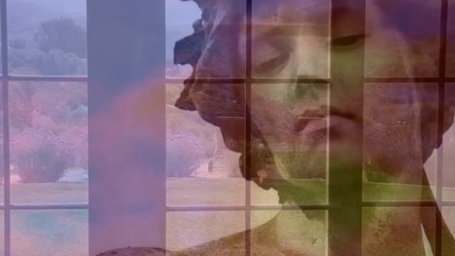 Inspirit *¨* Myristica And Asher Quinn (Asha)