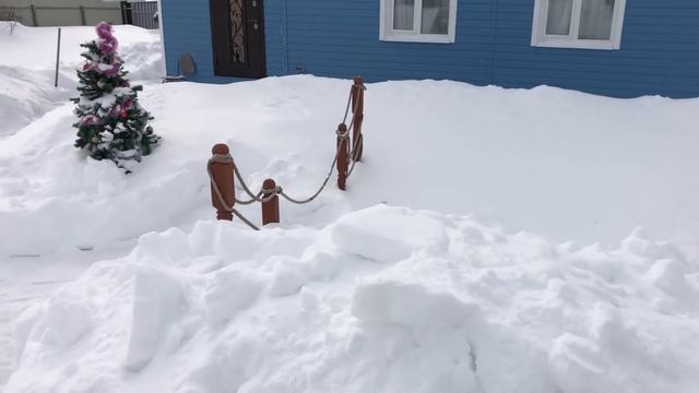 23 февраля / влог / готовим рагу в казане / и конечно немного о кроликах ? смотреть онлайн