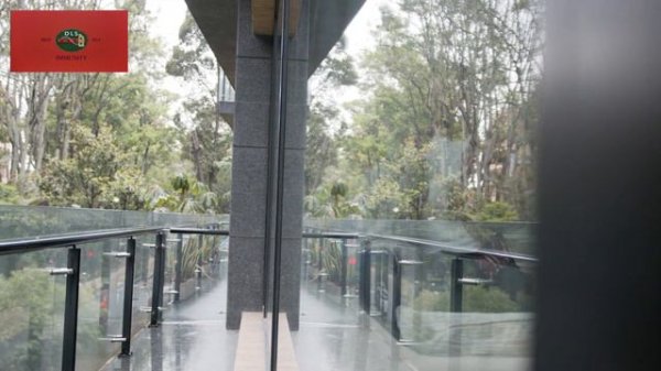 Red DLS Tea
dlsitea.com