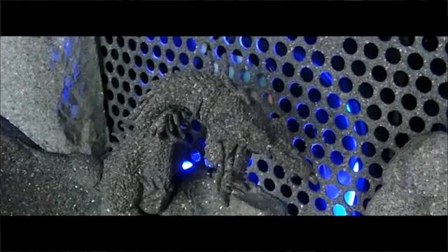 Dovahkiin - Dragonborn!