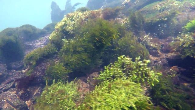 Ключ Шишмарал. Река Уфа. Башкирия. смотреть онлайн