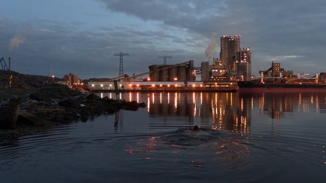 A Short Swim /Короткий Заплыв смотреть онлайн