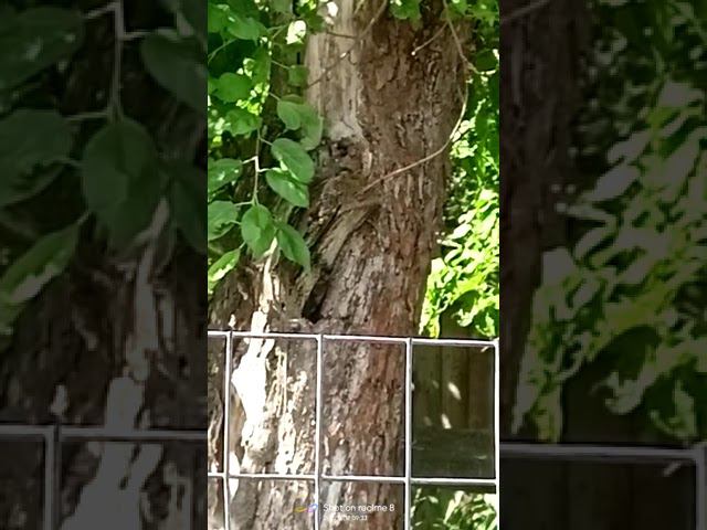 17 июля 2022 г. смотреть онлайн