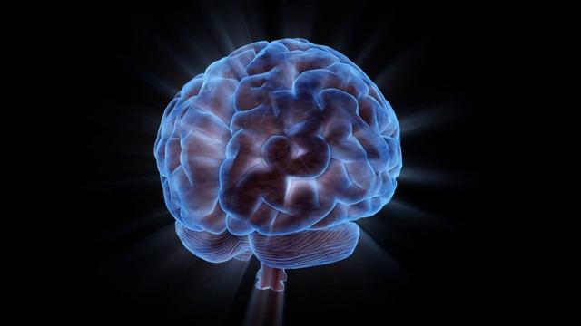 Higher Dimensions, Higher Frequency for Data. Know Thyself. смотреть онлайн