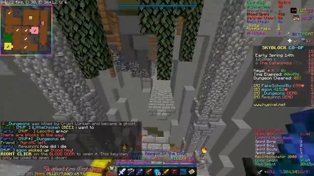 This pet DOUBLES your profits in DUNGEONS! MORE FRAGS! | Hypixel Skyblock Dungeons - The Catacombs смотреть онлайн