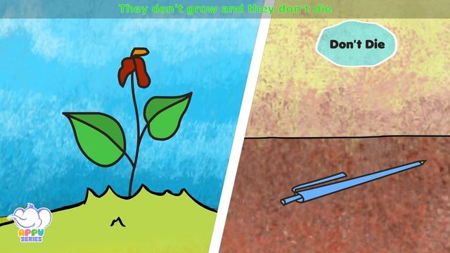 Living And Non Living Things | Songs On Learning Science | 4K | Appu Series