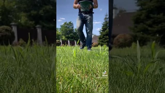 Летние, осение удобрения для газона, удобрениями Яра мила, уход за газоном, уход за садом смотреть онлайн