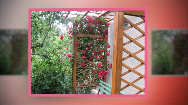 ОПОРЫ И ШПАЛЕРЫ