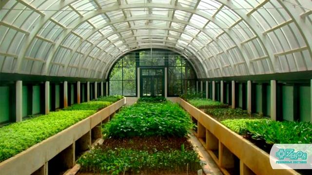 Сотовый поликарбонат - достоинства и сферы применения. смотреть онлайн