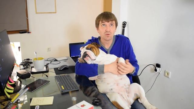 Как выбрать щенка - "Маленький - Большой" вопрос смотреть онлайн