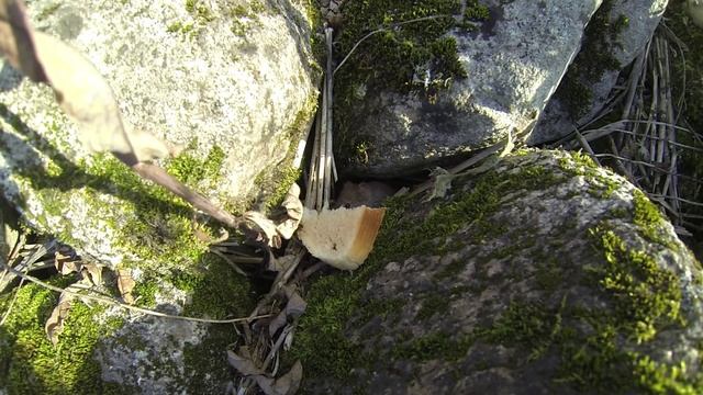 Как выманить мышь из норы? Приколы на рыбалке : РД смотреть онлайн