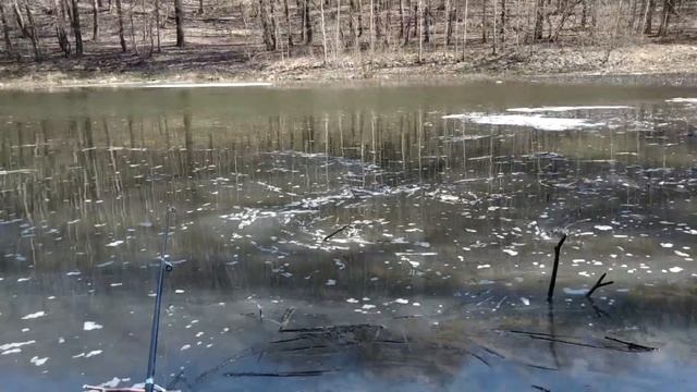 КАРАСЬ ВЕСНОЙ, ВЕСЕННИЙ ЖОР! БЕШЕНЫЙ КЛЕВ РЫБЫ КОГДА ОНА НАЧИНАЕТСЯ!? ГДЕ ИСКАТЬ КАРАСЯ ВЕСНОЙ!? смотреть онлайн