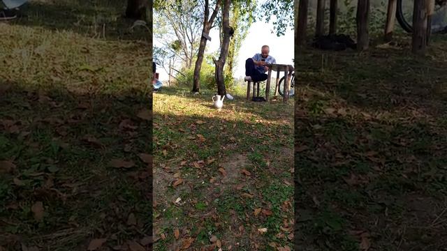 Горный Село Дарго