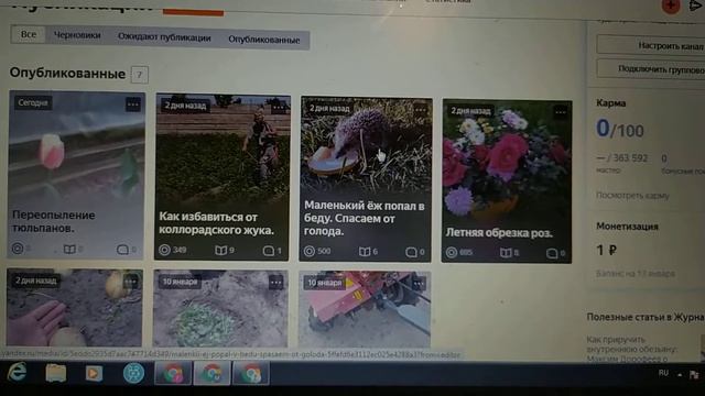 ЯНДЕКС ЭФИР. Как развивать свой канал через Яндекс Дзен. смотреть онлайн