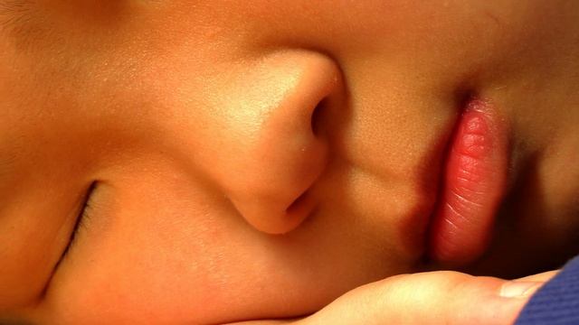 캐논 4K 캠코더 CANON VIXIA HF G70 짧은 샘플영상, 영상찍기 쉽네! смотреть онлайн