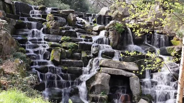 Прекрасные Звуки Лесного водопада Музыка для сна Белый шум смотреть онлайн