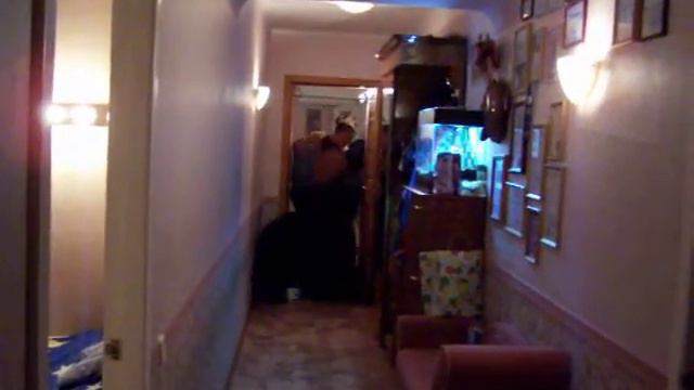 Черный терьер защита хозяев в квартире смотреть онлайн