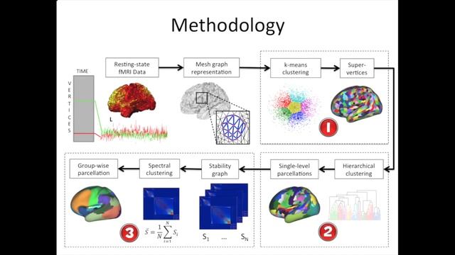 Multi-Level Parcellation of the Cerebral Cortex Using Resting-State fMRI смотреть онлайн
