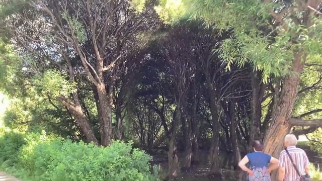 Измайловский парк?Чистый воздух☀️Много зелени??Семейный отдых????