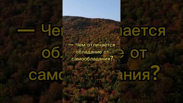 Анекдоты смотреть онлайн