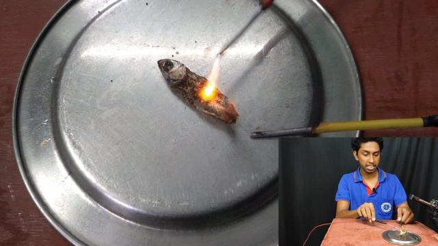 Amazing Experiment With High Voltage Generator | Cooking Fish With 30000 Voltage Generator | 30 KV