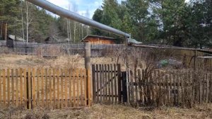 Боярская дача! Первые высокие гости