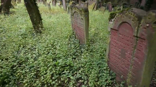 FRANKFURT: Europe's Oldest JEWISH CEMETERY,  Germany #travel #cemetery #frankfurt