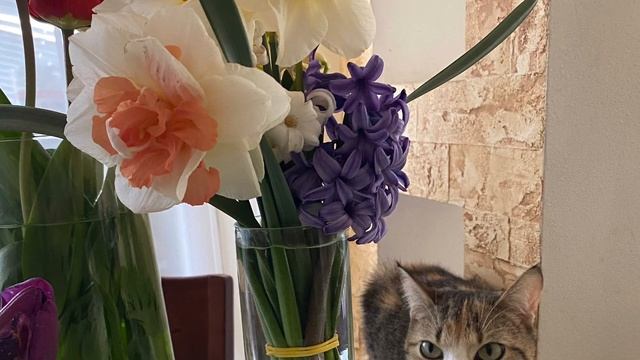 ХЕРСОН 22 Апреля - мой День сегодня и всегда !!! ??? смотреть онлайн